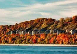 fall foliage pic